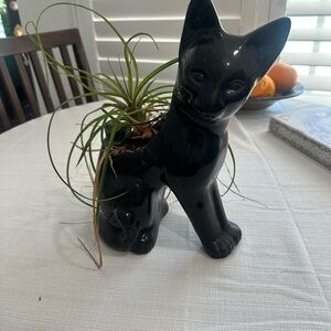 Black Cat Ceramic Planter